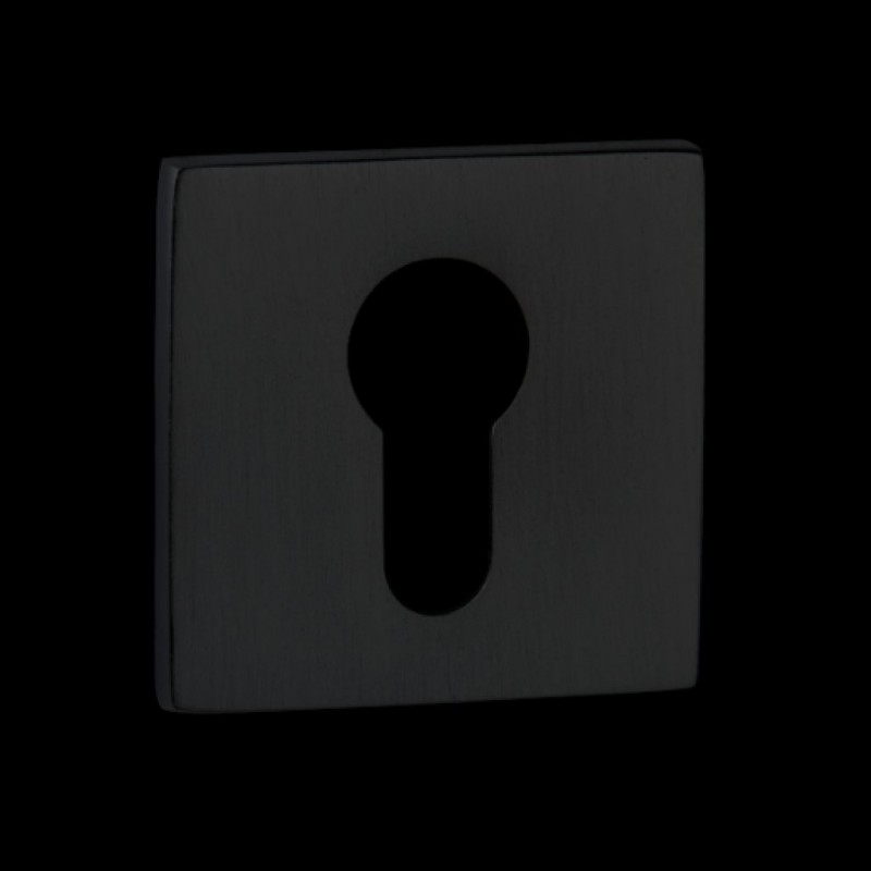 d190001296517.tif_normal.png