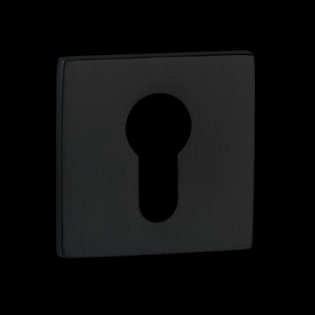 d190001296517.tif_normal.png
