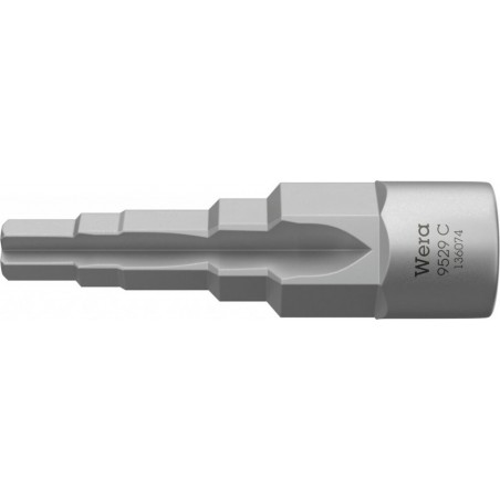 lg_9529_c.jpg