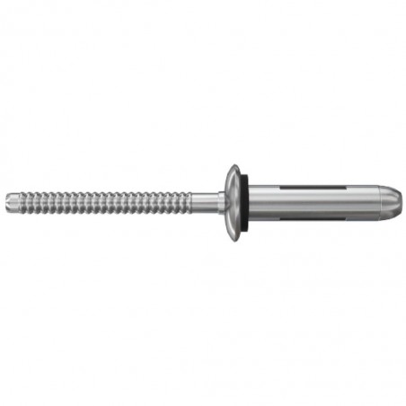 w2_p_p_screw-alg-standard-cgi_v1.jpg