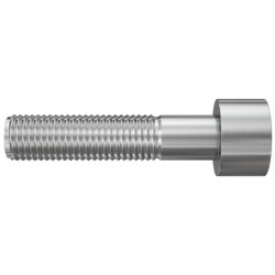 w2_p_p_screw-tcei-standard-cgi_v1.jpg