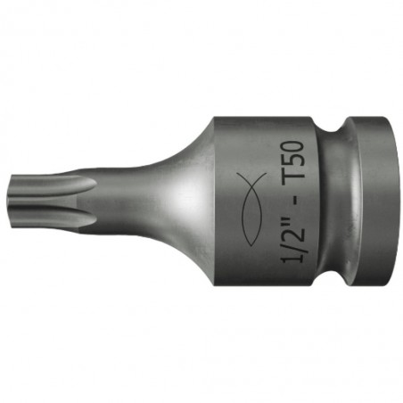 w2_p_p_00553929-cgi_sall_f_aqq_v1.jpg