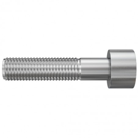w2_p_p_screw-tcei-standard-cgi_v1.jpg