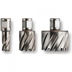 33852_7_i0000316__ofc.jpg