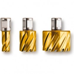 33692_7_i0000575__ofc.jpg